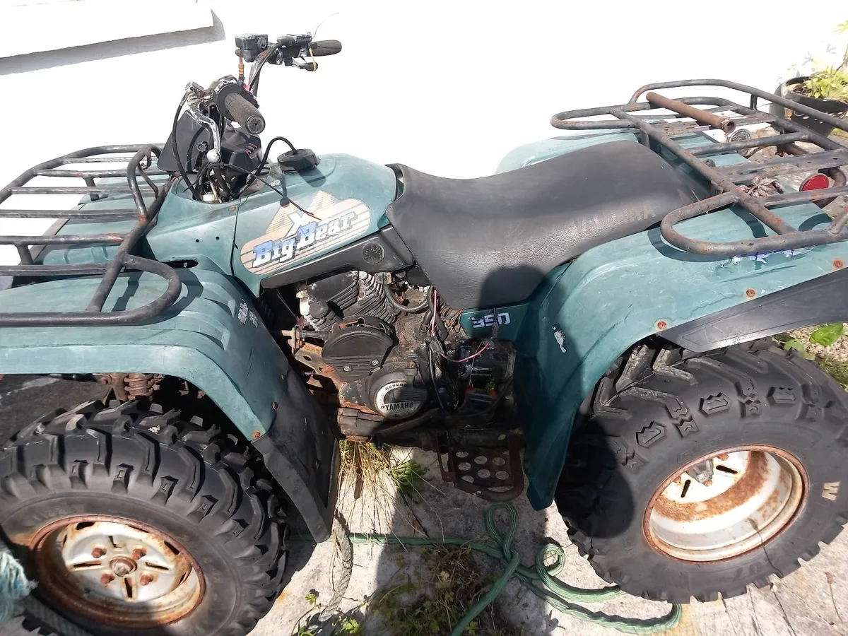 Quad big bear was running - Image 1