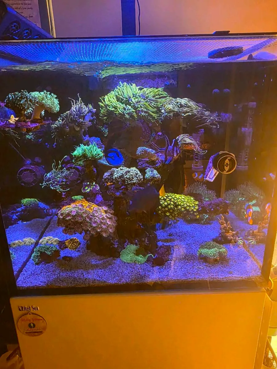 Tank - Image 1