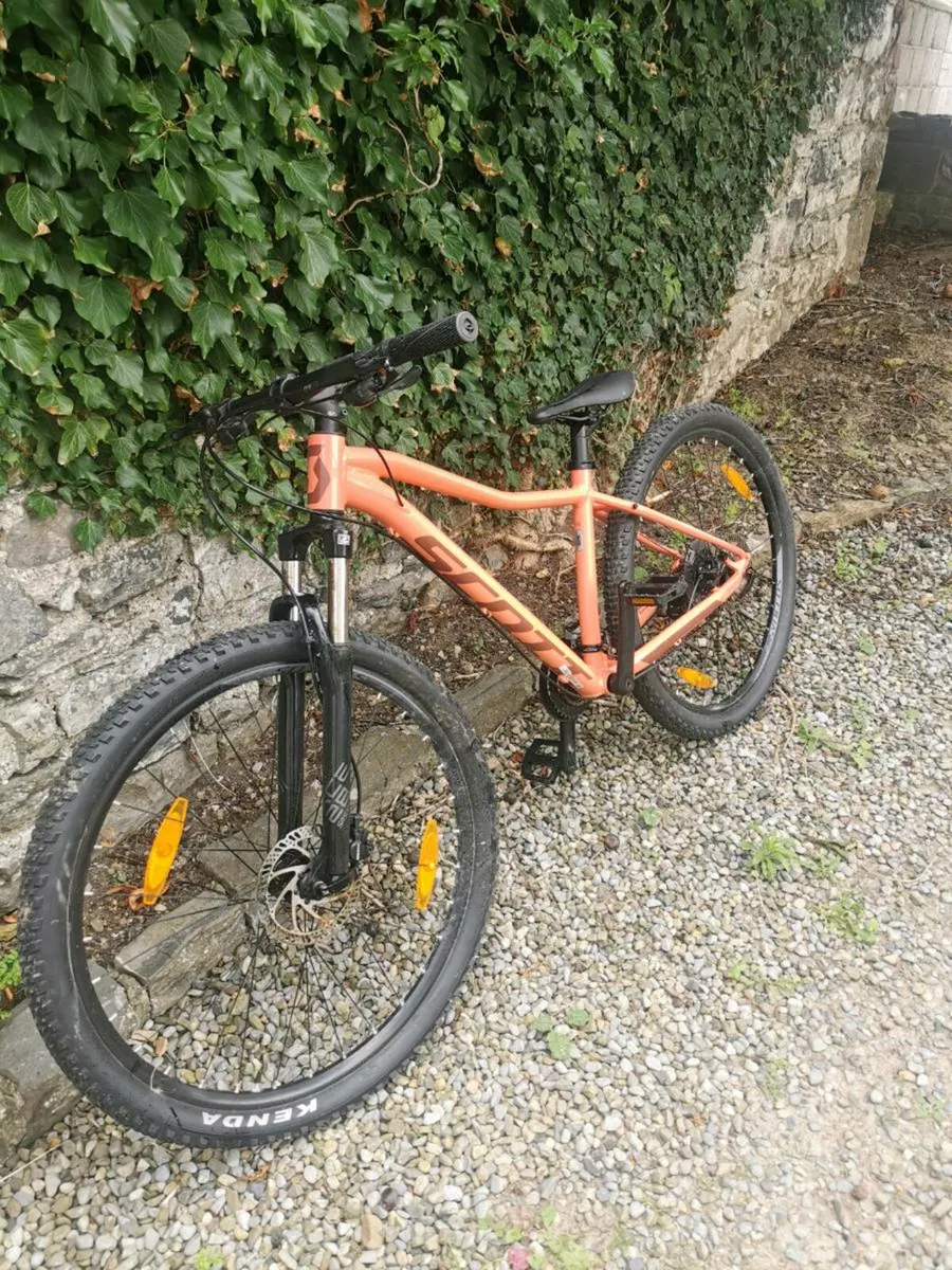 Mountain bike - Image 1