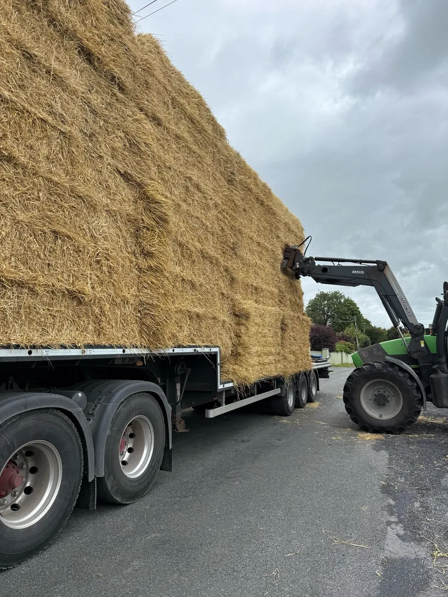 Barley straw 8x4x3 - Image 1
