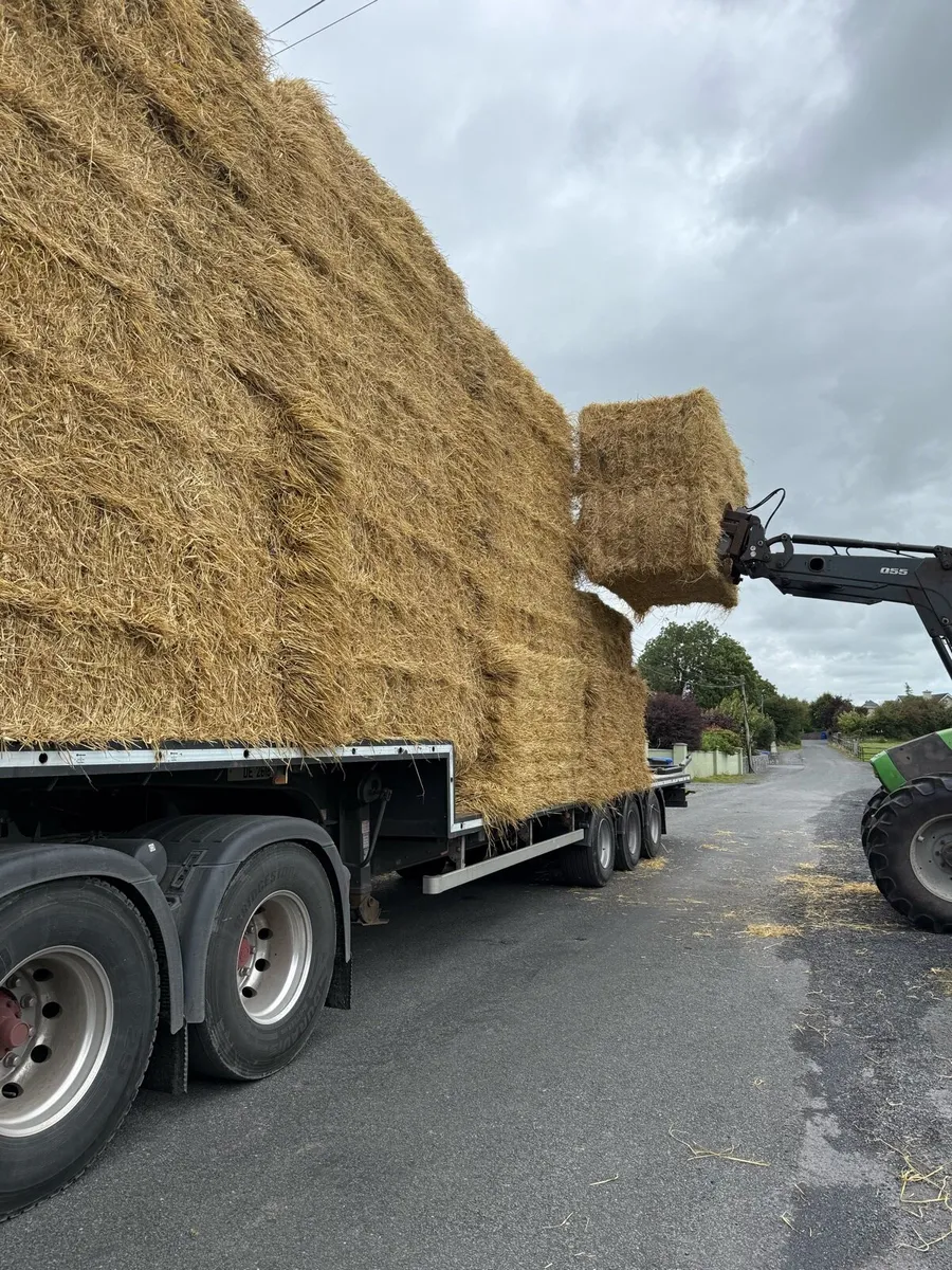 Barley straw 8x4x3 - Image 3