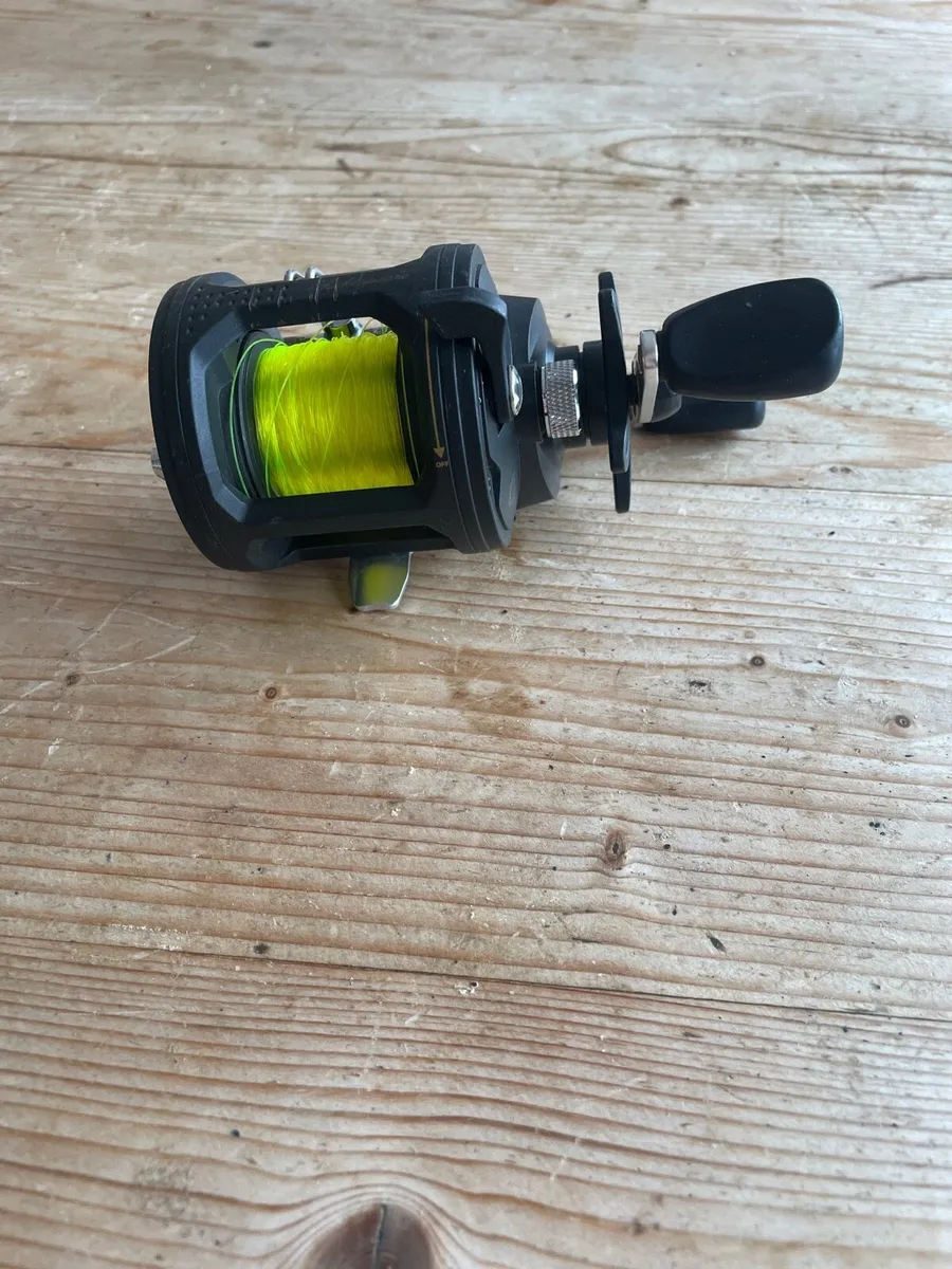 Shakespeare reel - Image 3