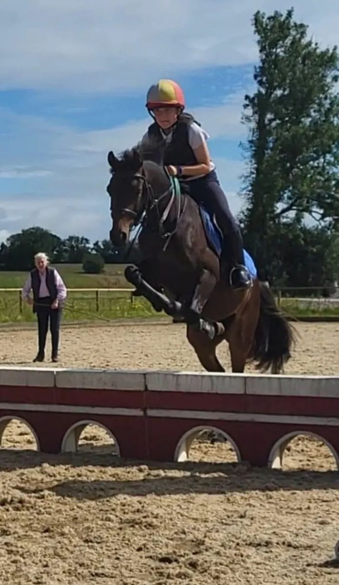 Pony - Image 1