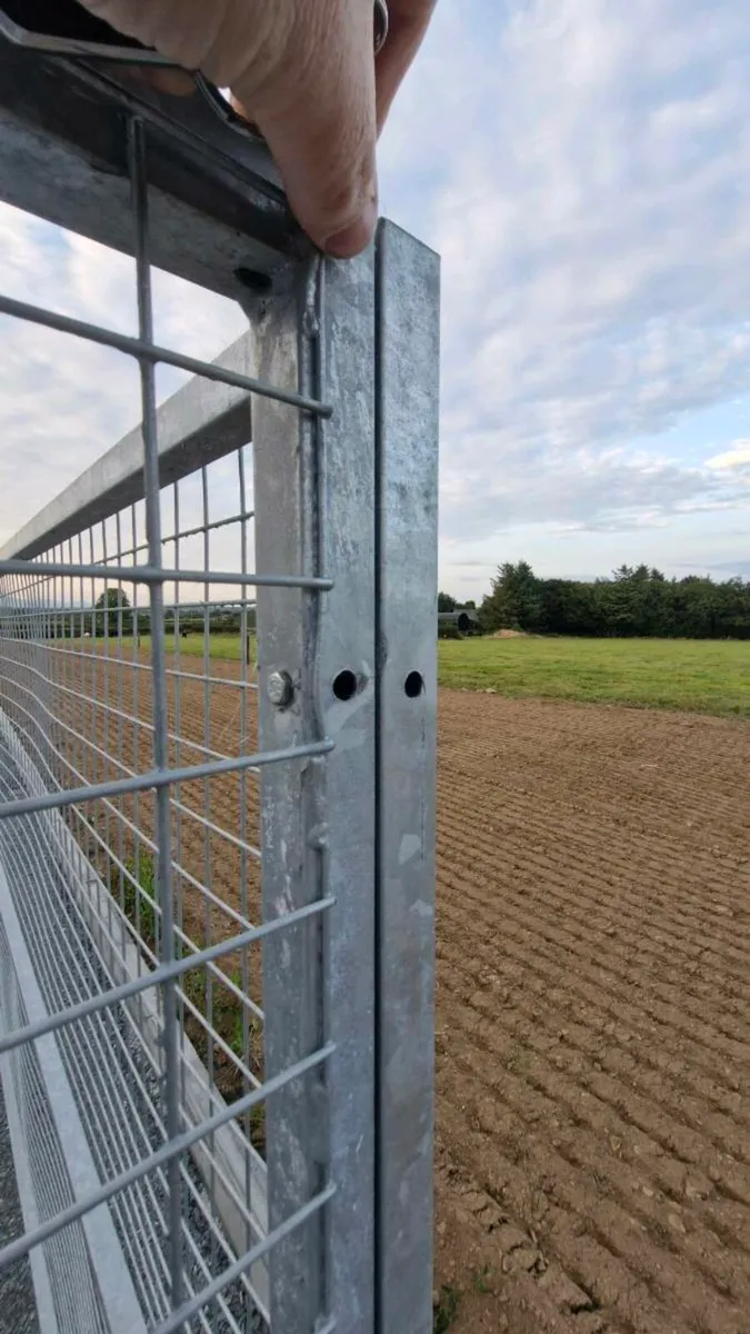 Dog Run - Image 2