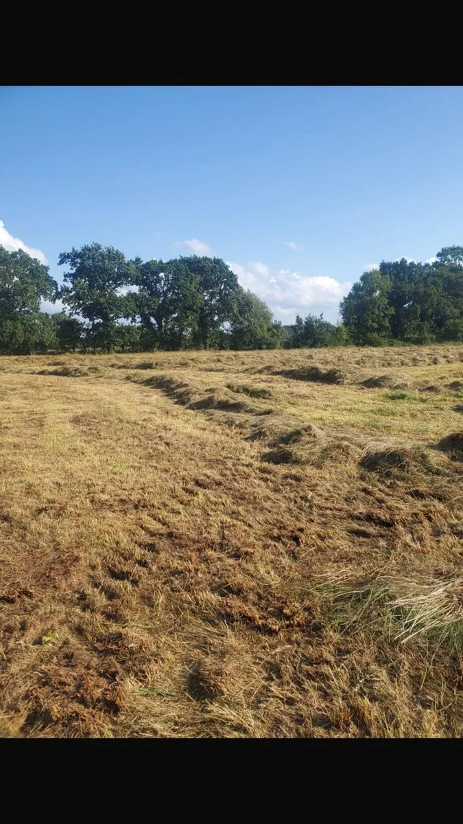 Haylage for sale €19 ono - Image 2
