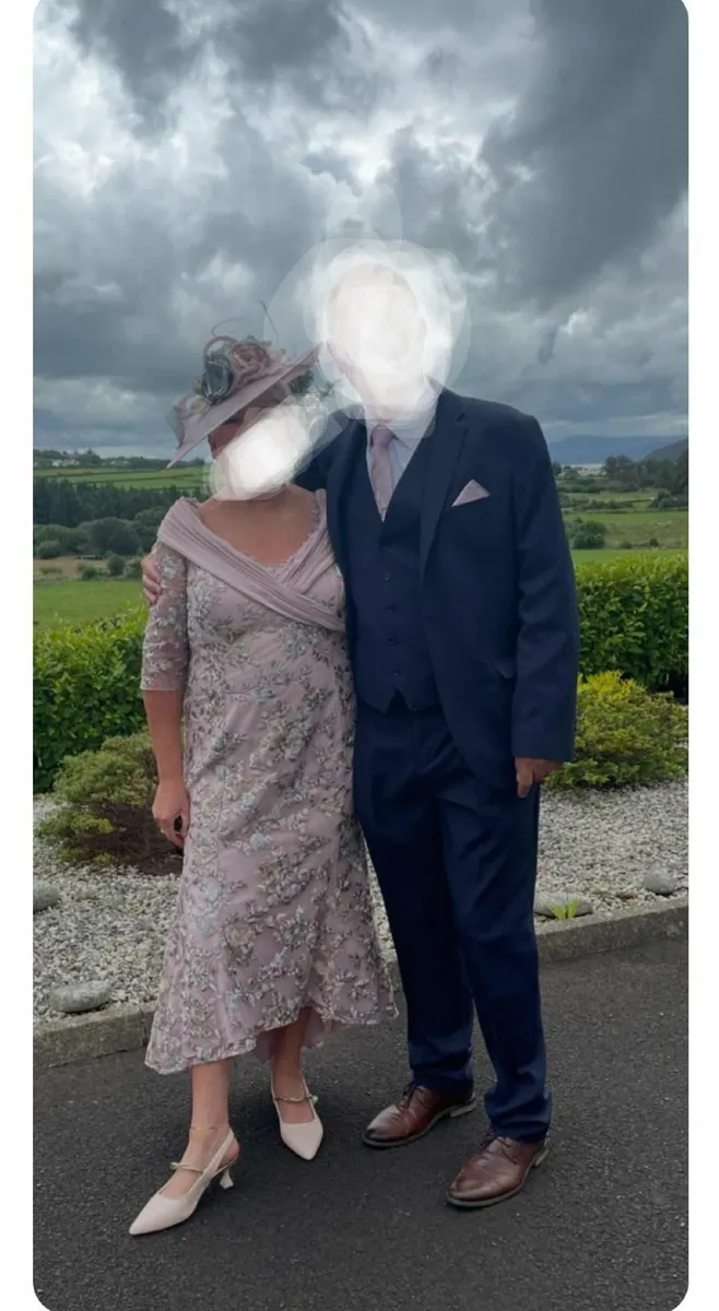 Mother of the Bride Dress and Accessories - Image 1