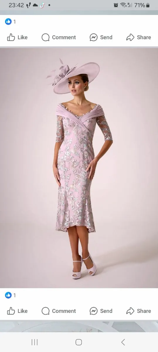 Mother of the Bride Dress and Accessories - Image 1