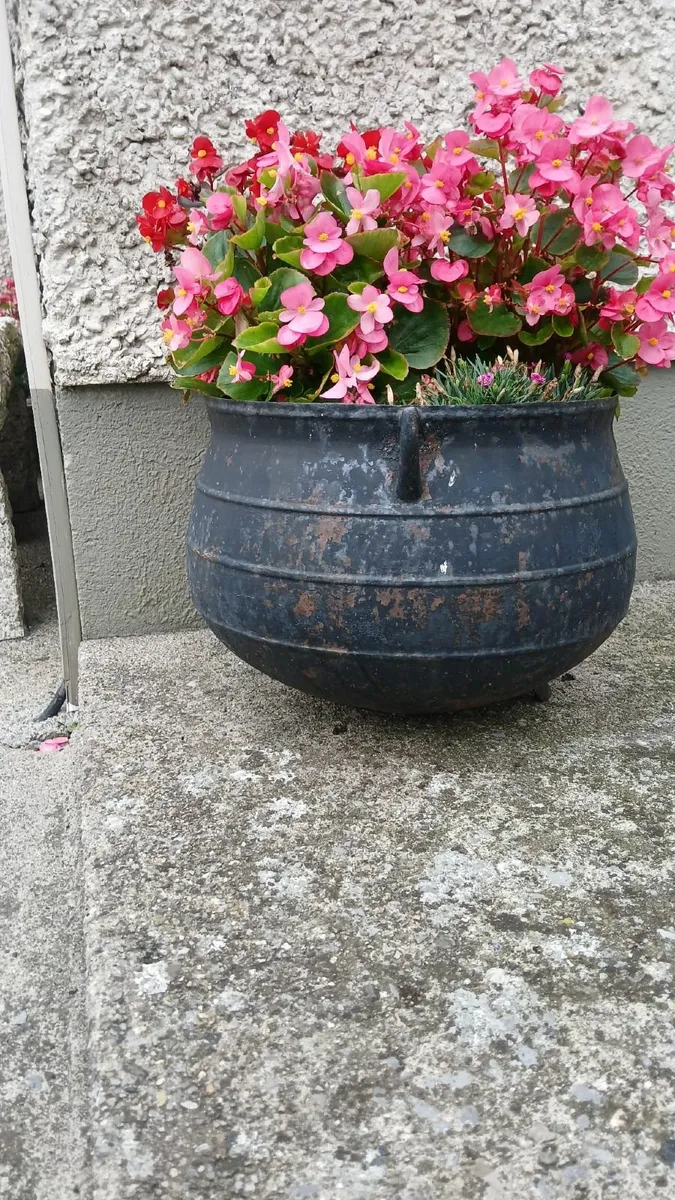 Collectibles Antiques - Image 2