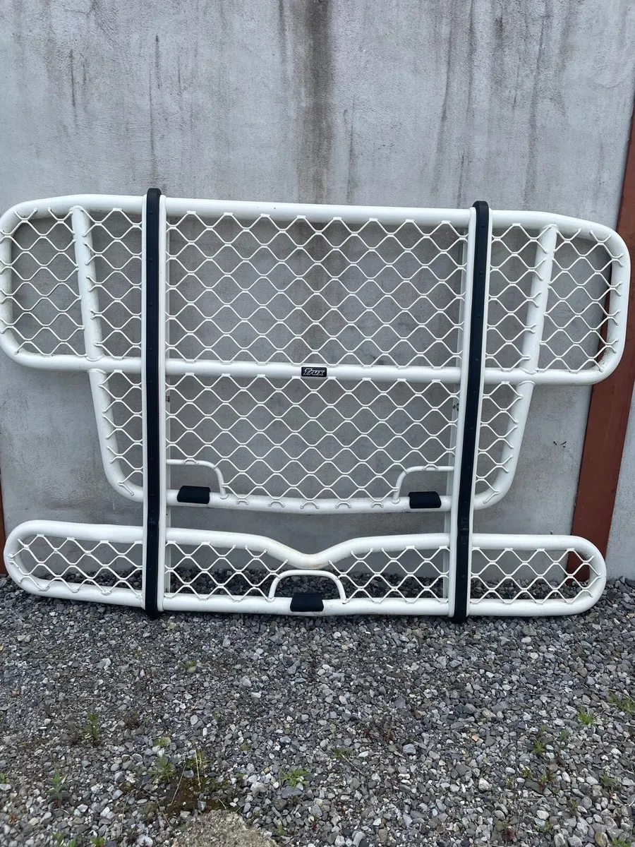 Scania bullbar