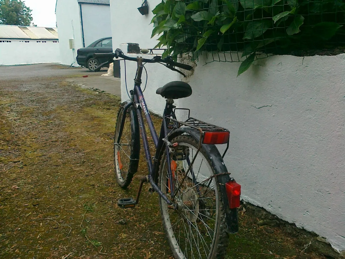 Bicycle - Image 2