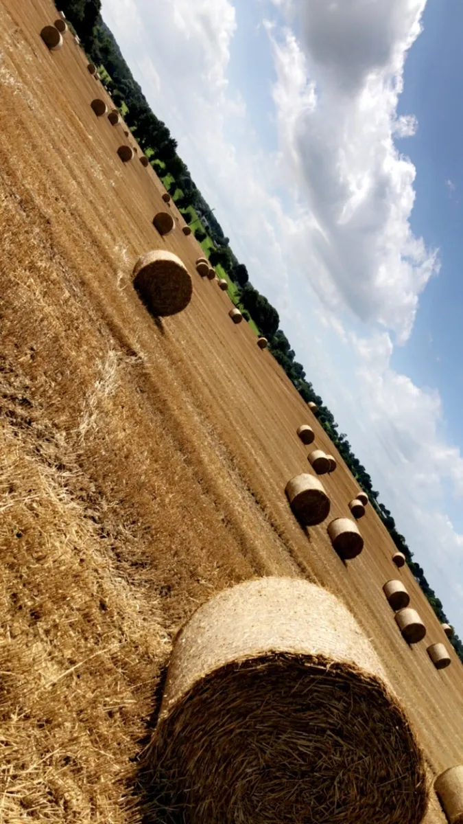 Straw