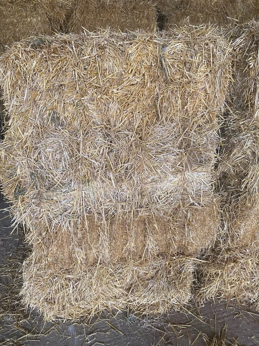 Small squares straw - Image 1