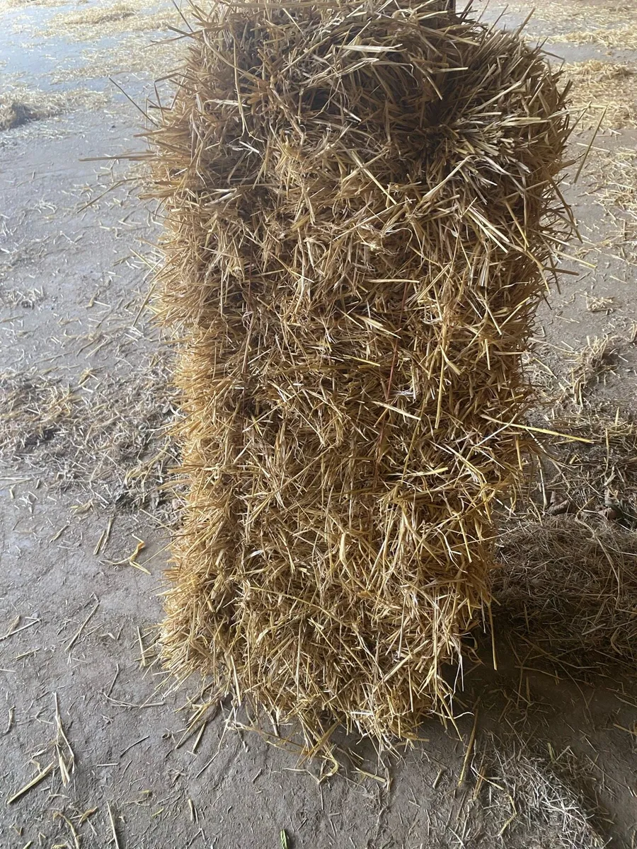 Small squares straw - Image 2