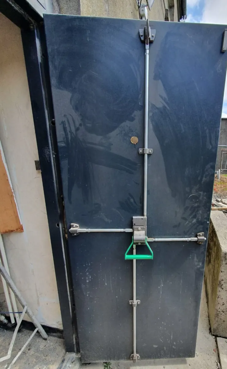 Steel Exit Door - Image 1