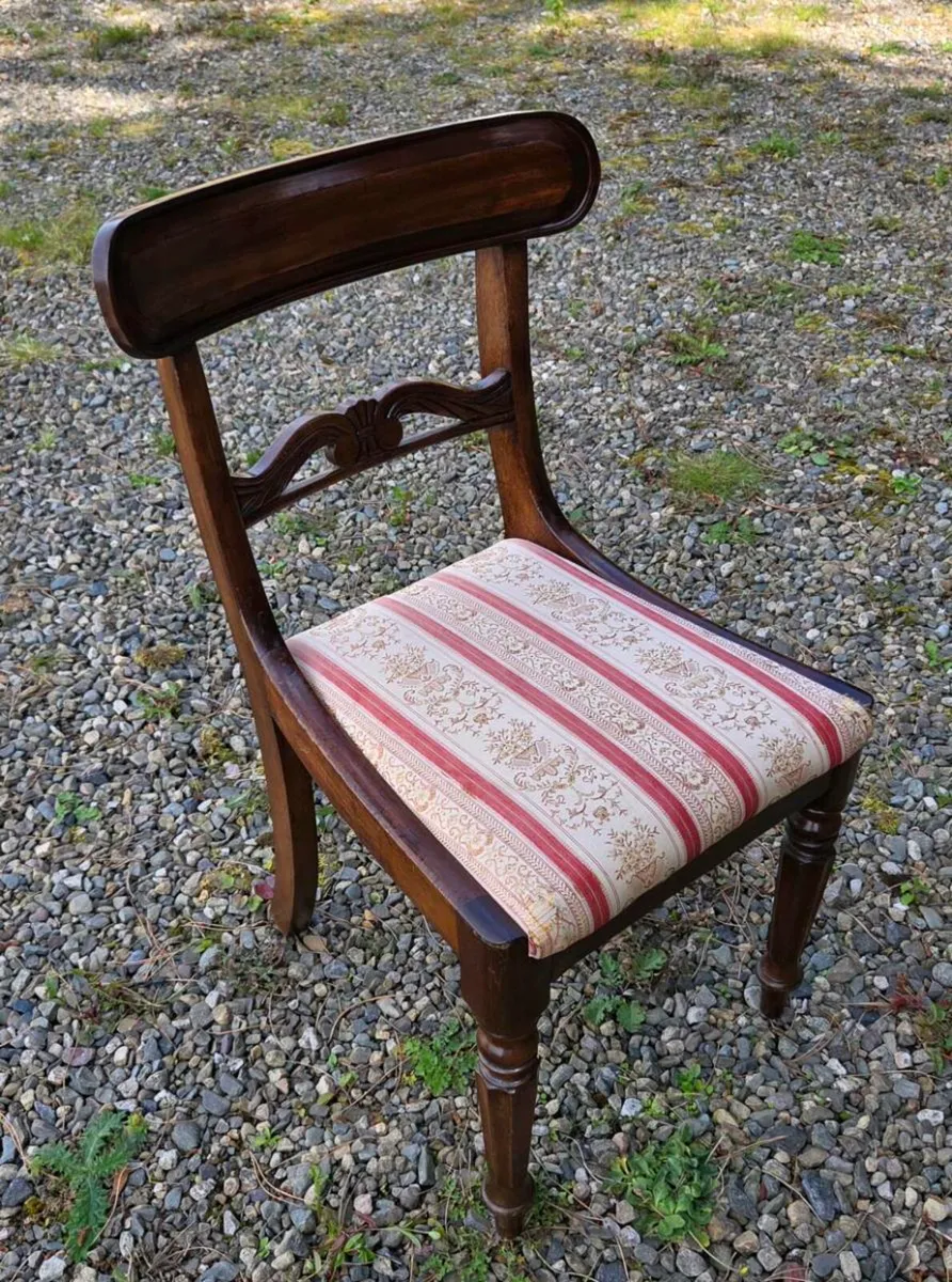 6 old  mahogany  chairs  in perfect condition - Image 1