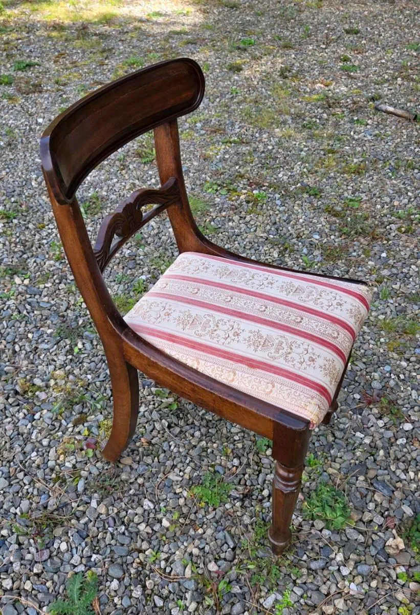 6 old  mahogany  chairs  in perfect condition - Image 2