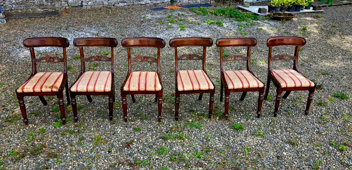 6 old  mahogany  chairs  in perfect condition - Image 3