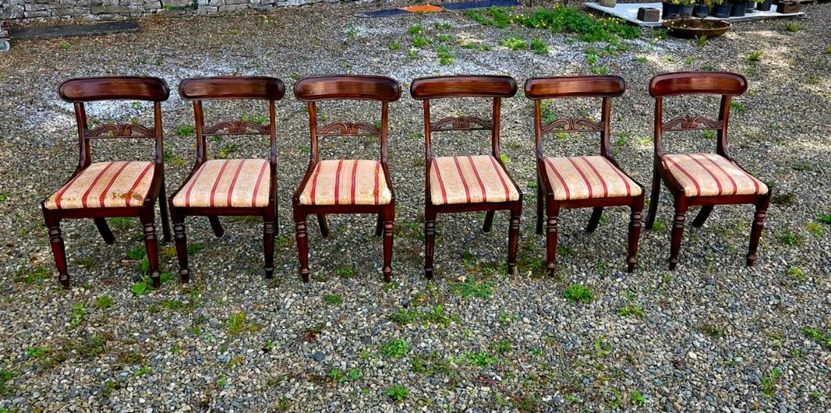 6 old  mahogany  chairs  in perfect condition - Image 4