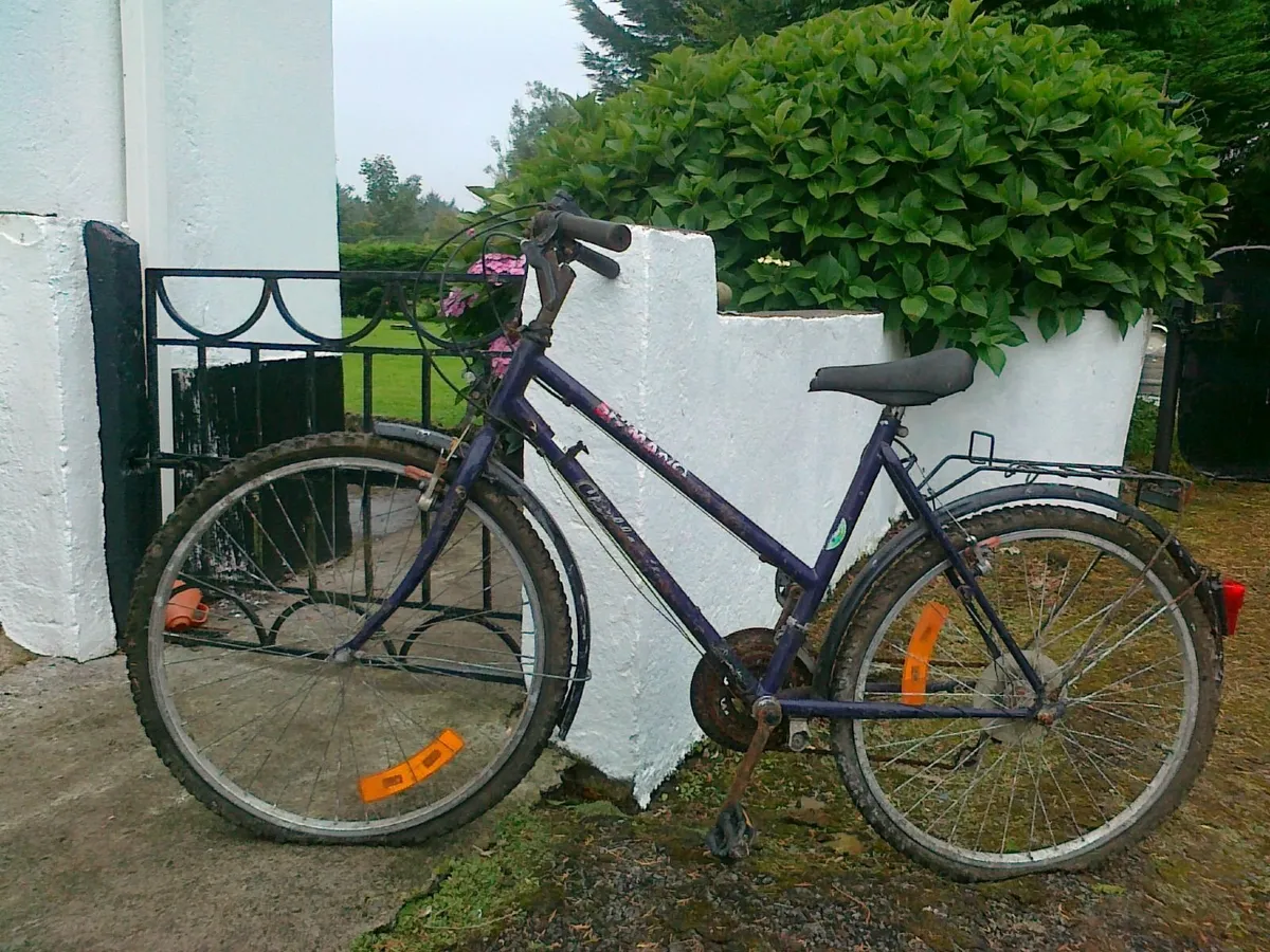 Bicycle - Image 1