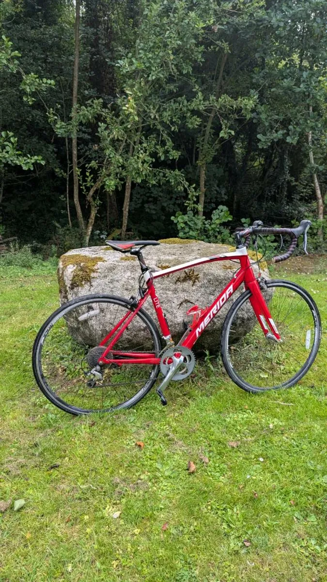 Racing bike - Image 2