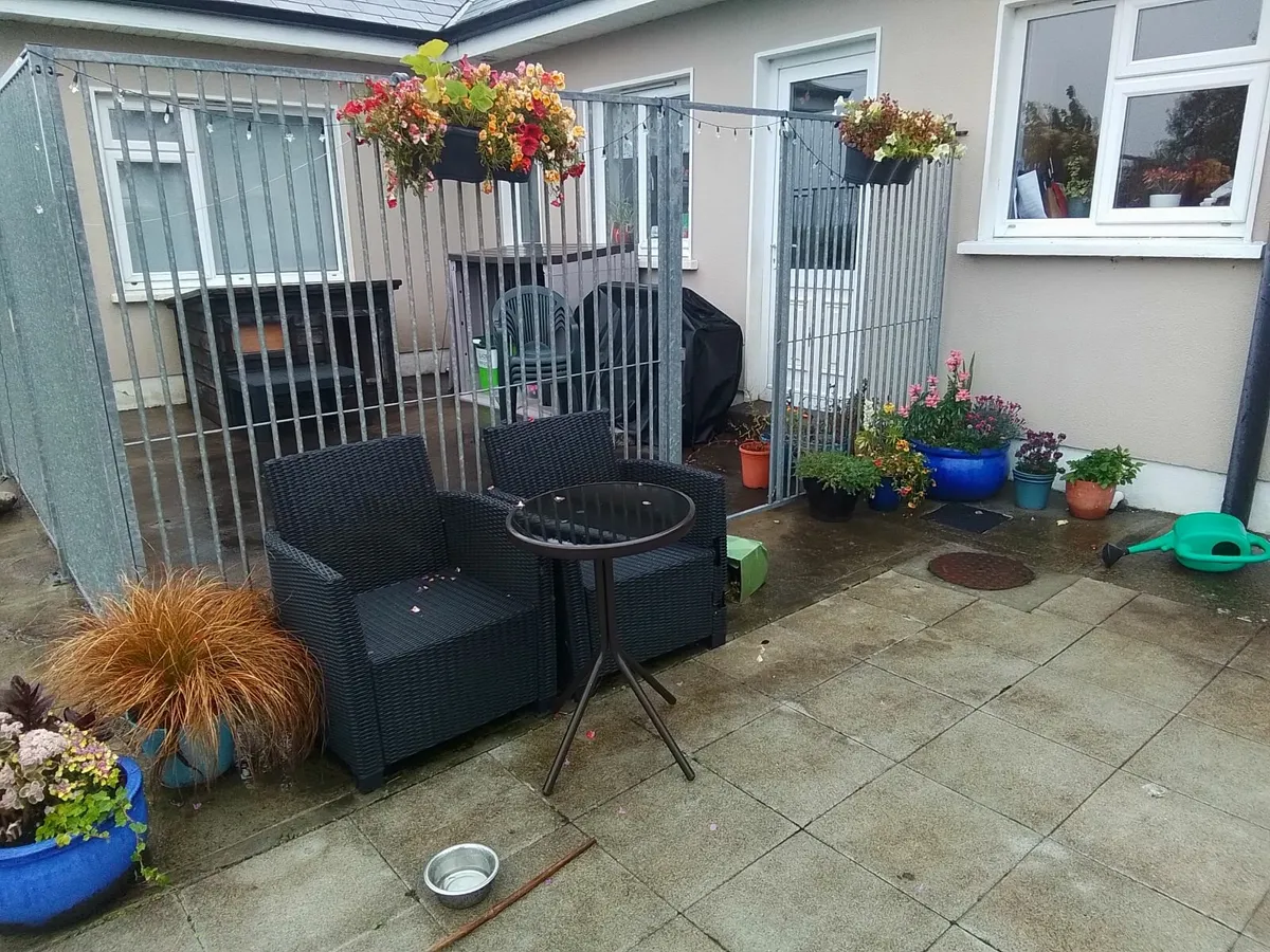 Dog Cage - Image 4