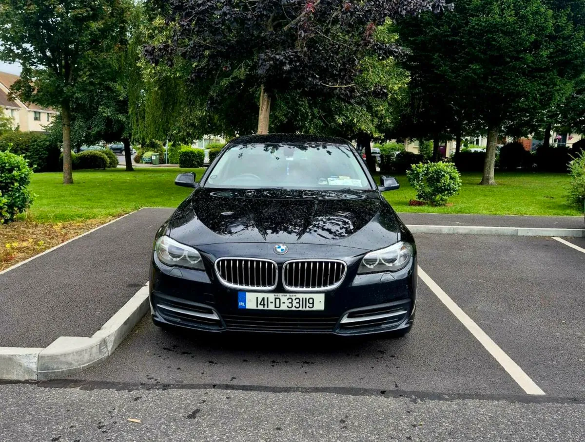 BMW 520D SE - Image 1
