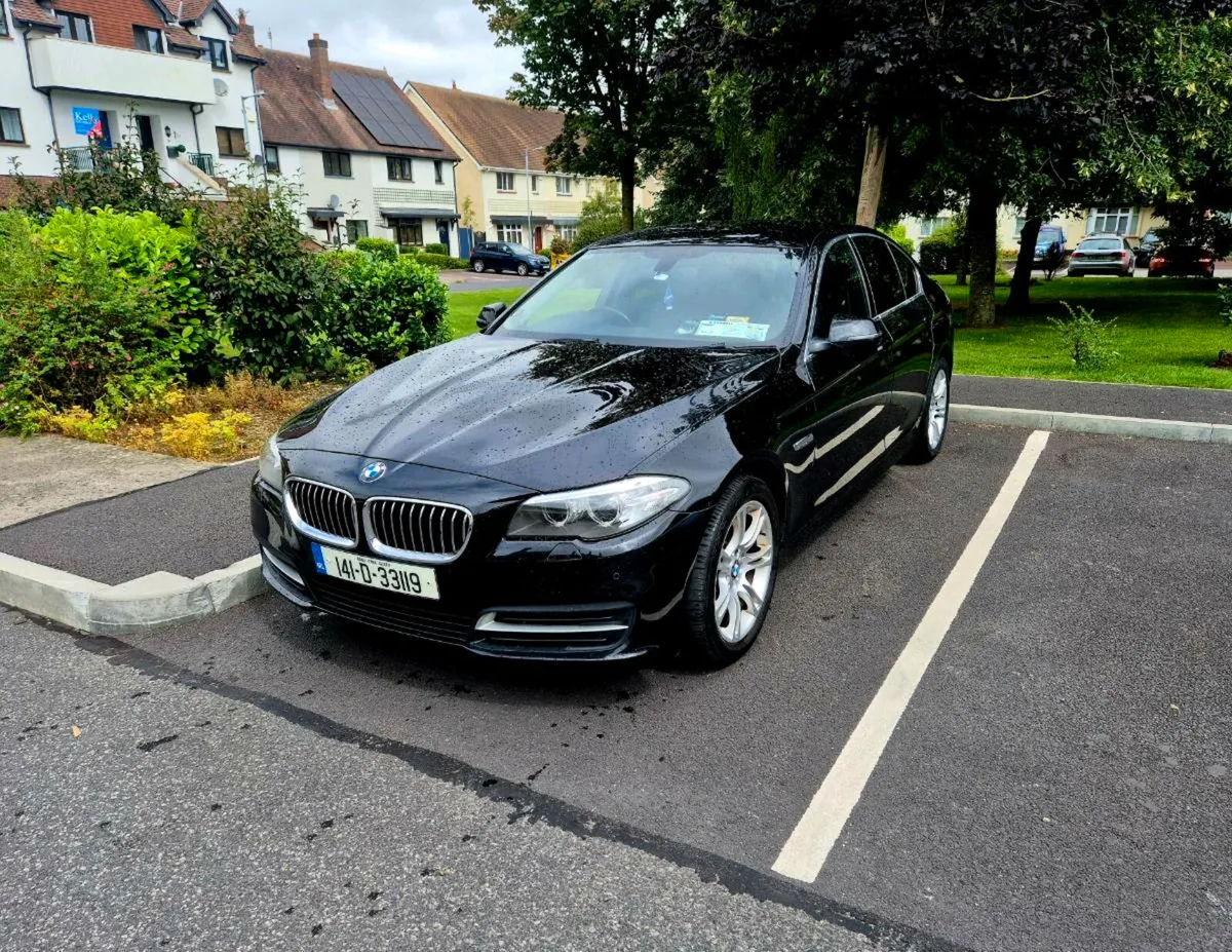 BMW 520D SE - Image 2