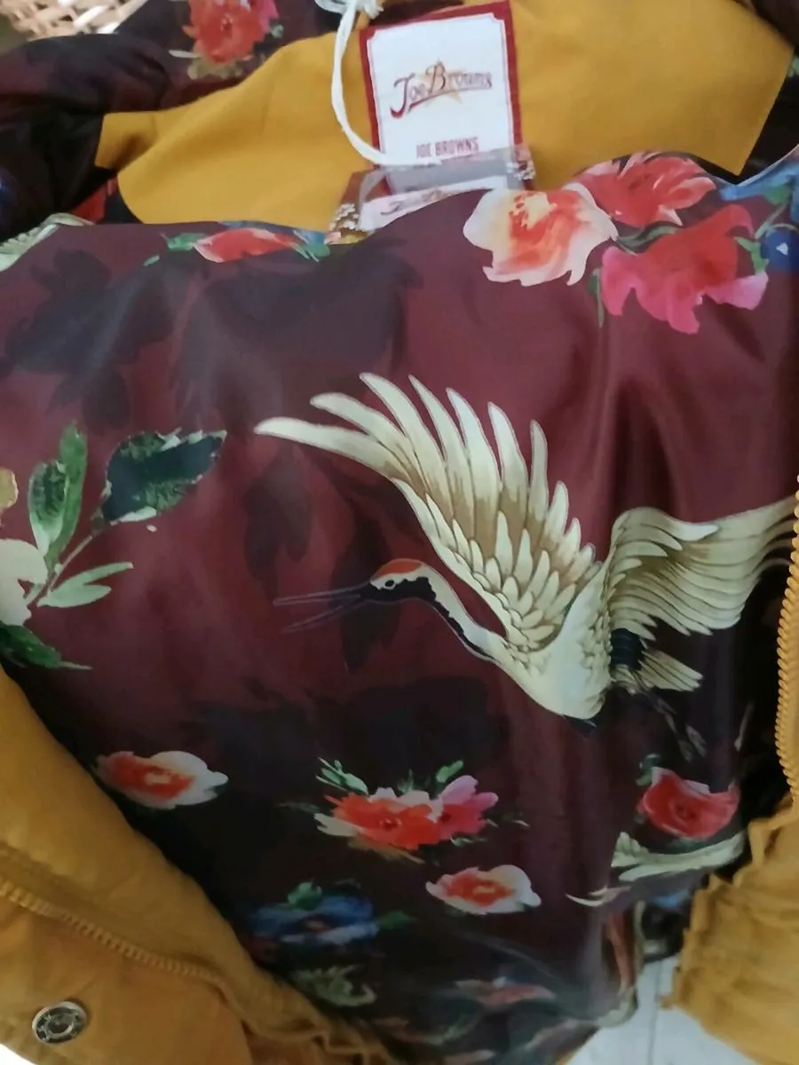 Clothes - Image 3