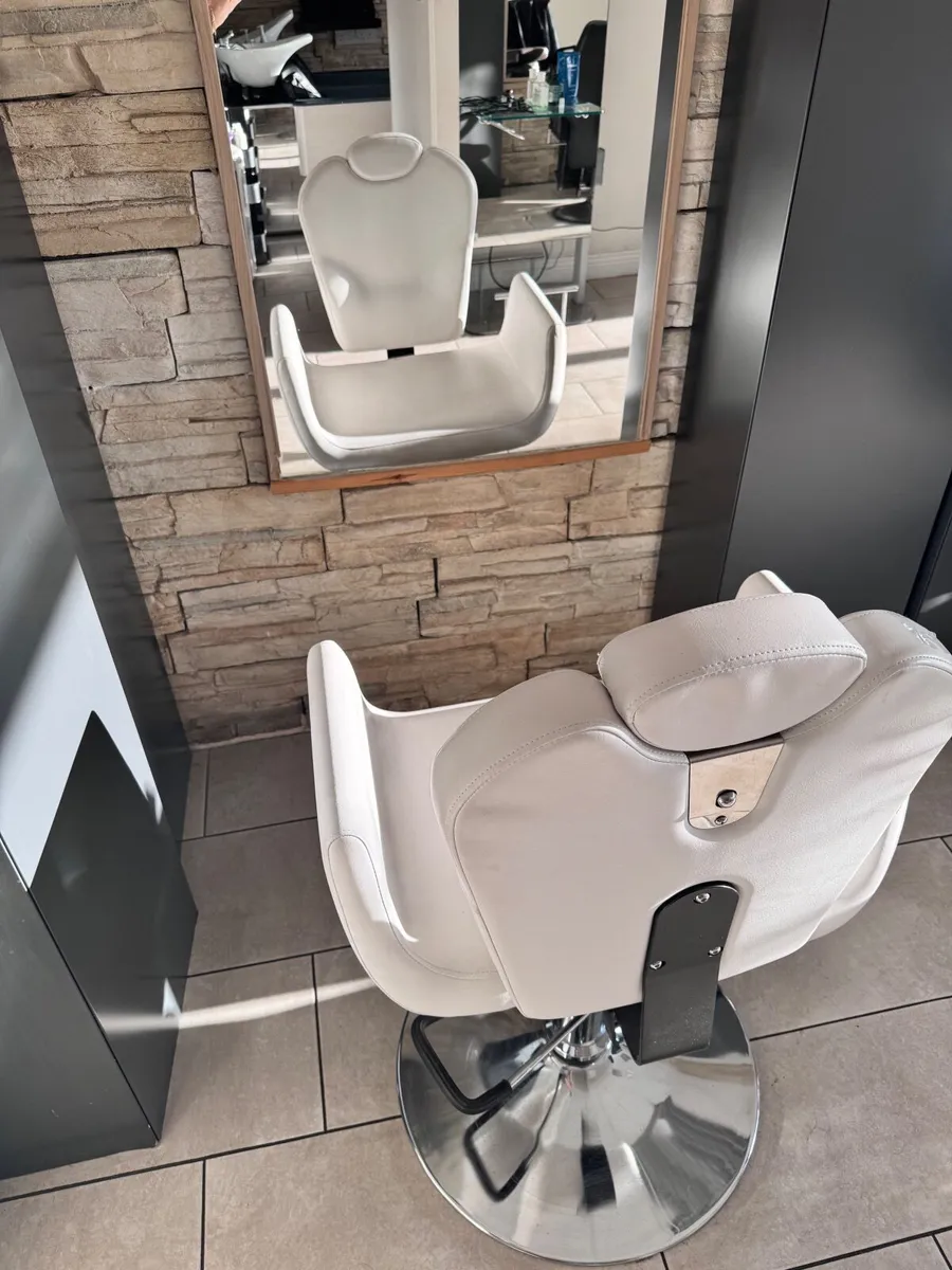 Salon chairs - Image 4
