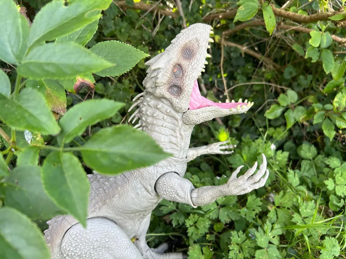 toys - Image 4