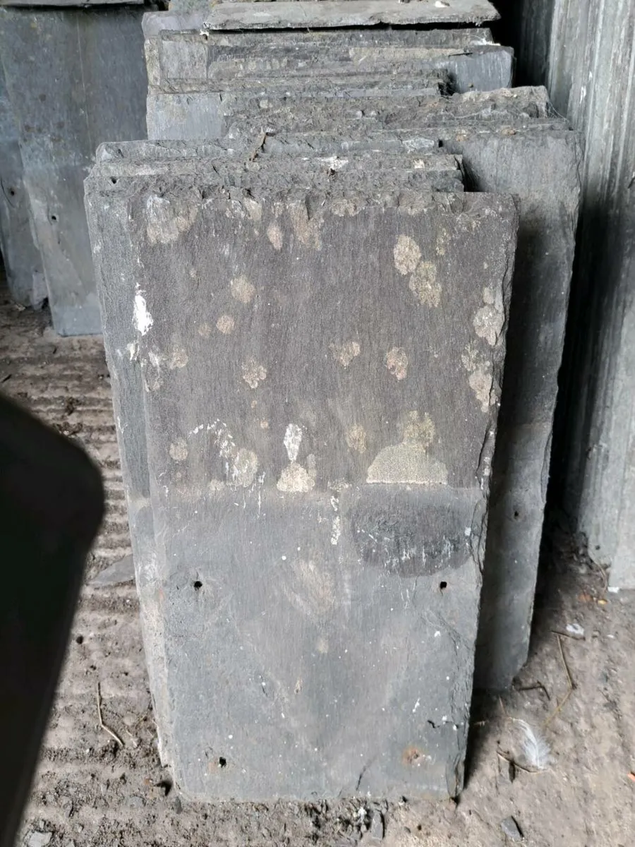 1750 qty 20x10 Reclaimed Slates