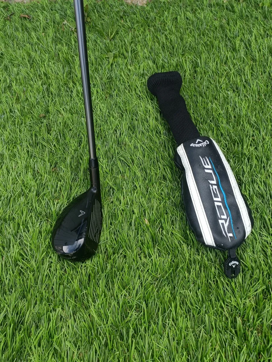 Golf club - Image 1