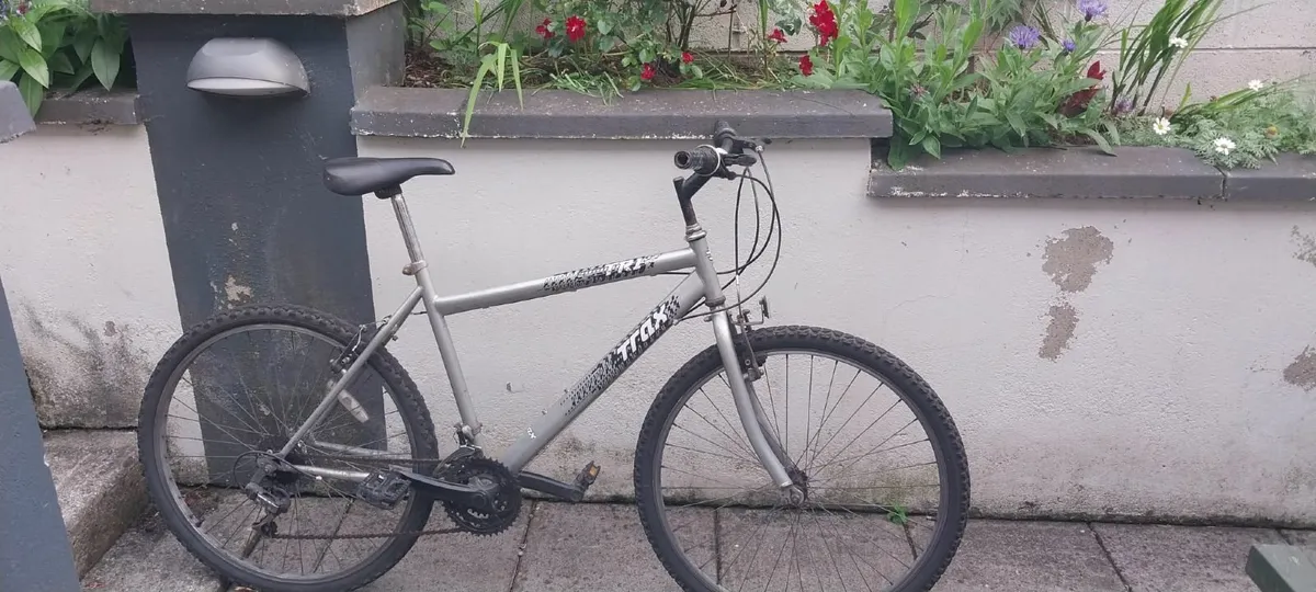 Bicycle - Image 3