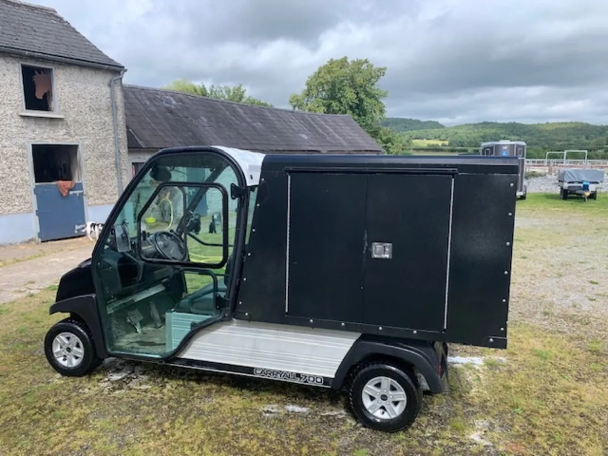 rare  golf  buggy van - Image 2