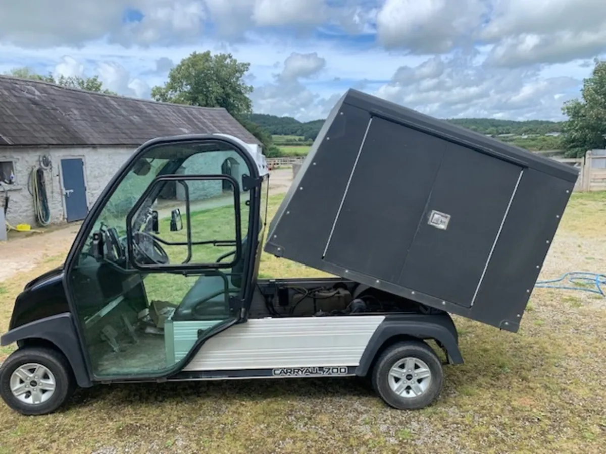 rare  golf  buggy van - Image 4