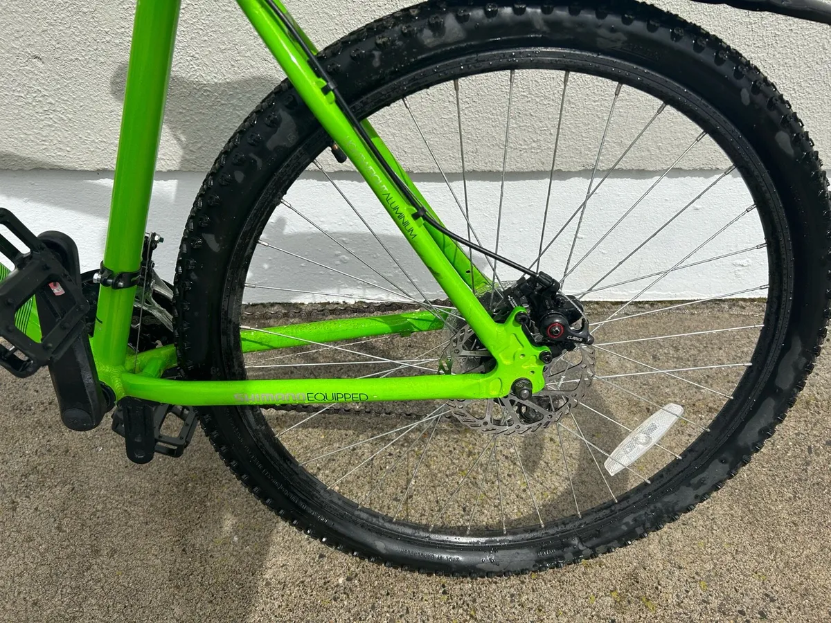 20” Bike - Image 4