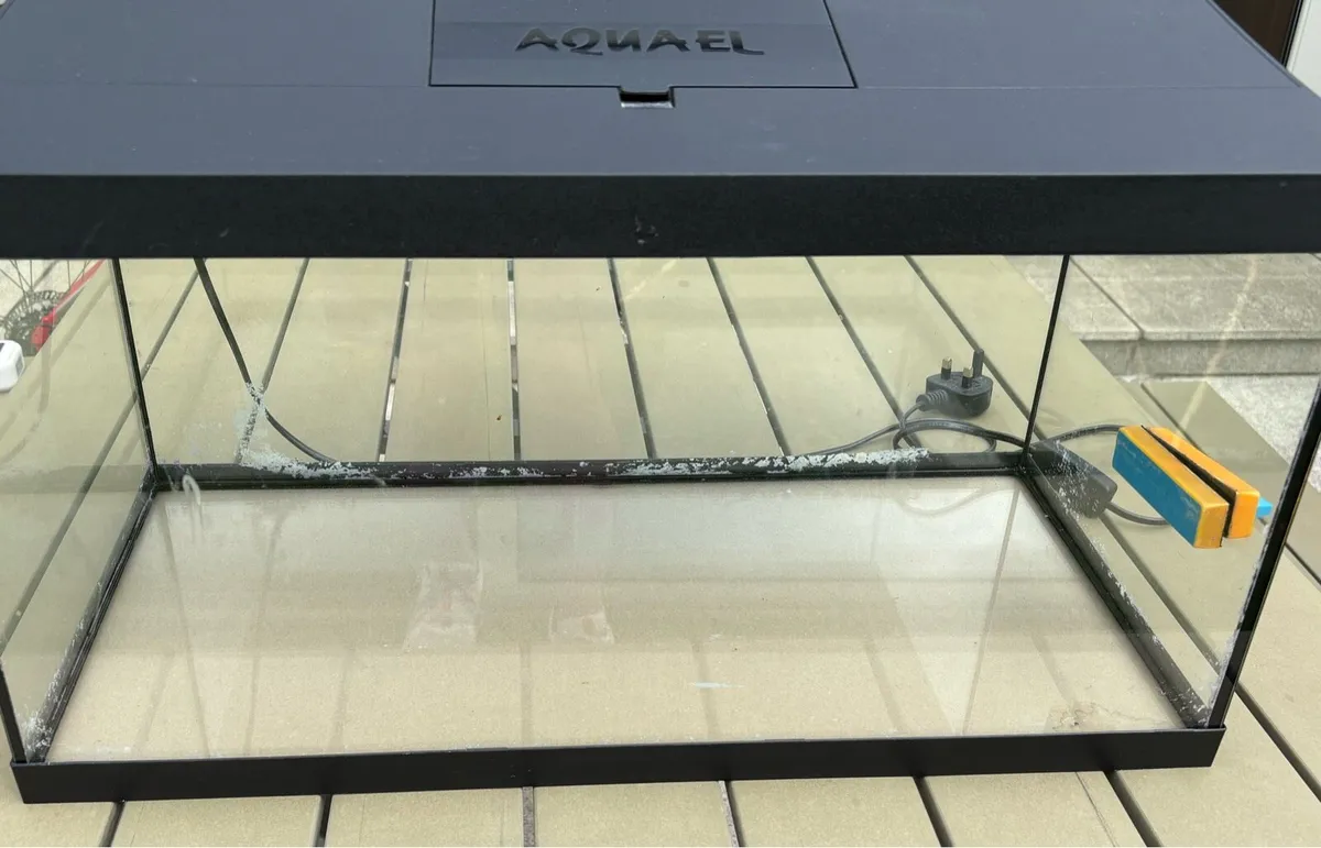 Fish tank - Image 3