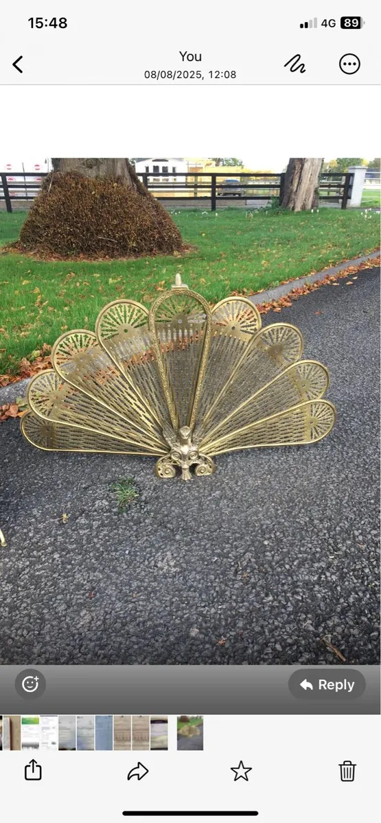 Fire guard - Image 1