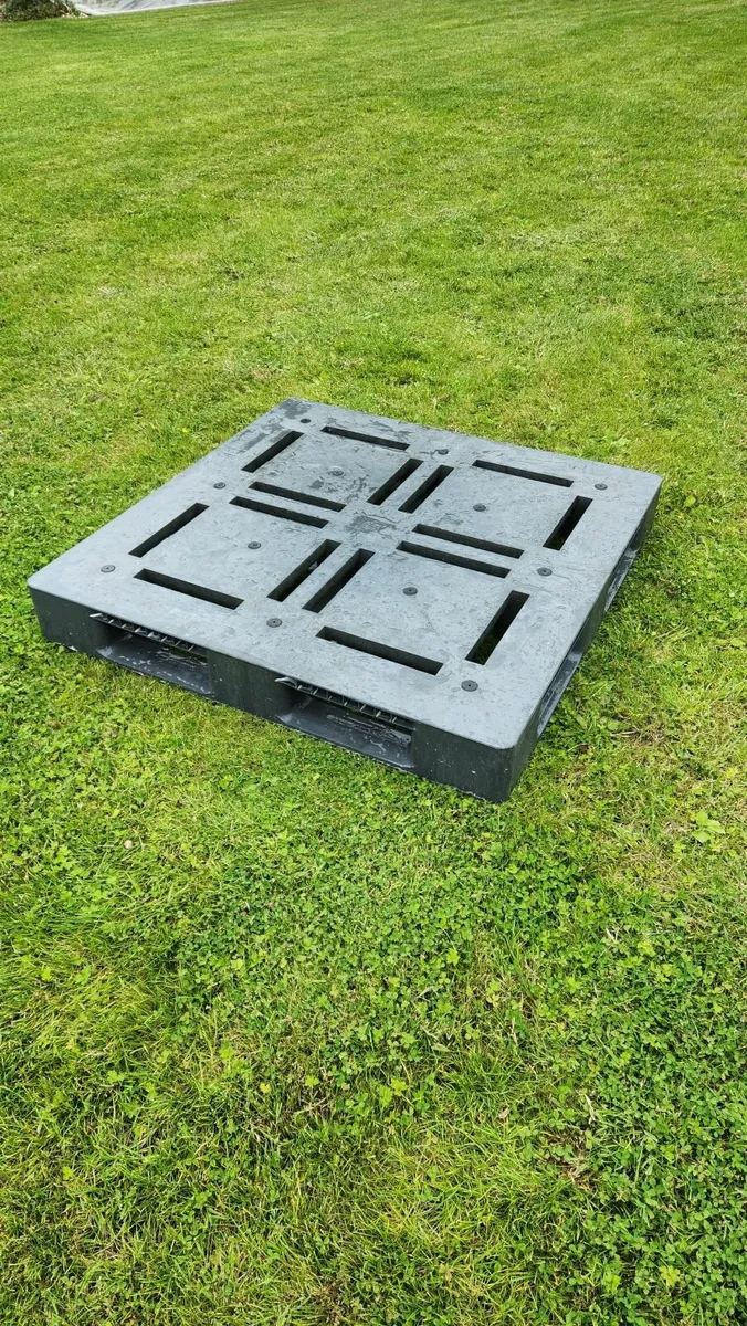 Platic Pallets - Image 1