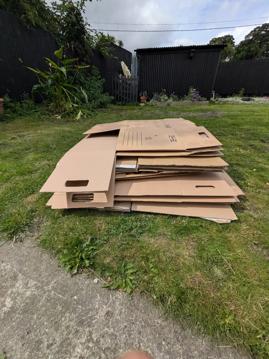 Cardboard boxes - Image 3