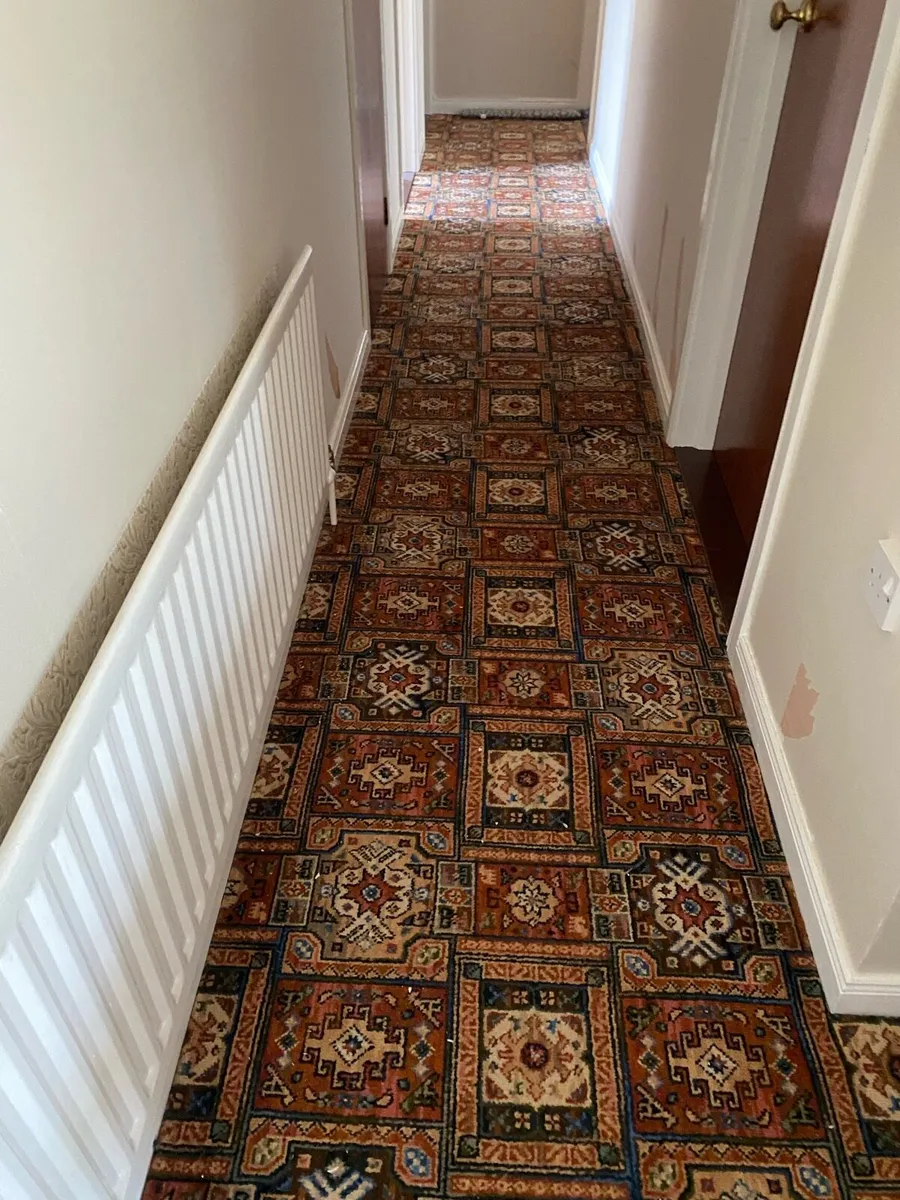 Hall Carpet - Image 1