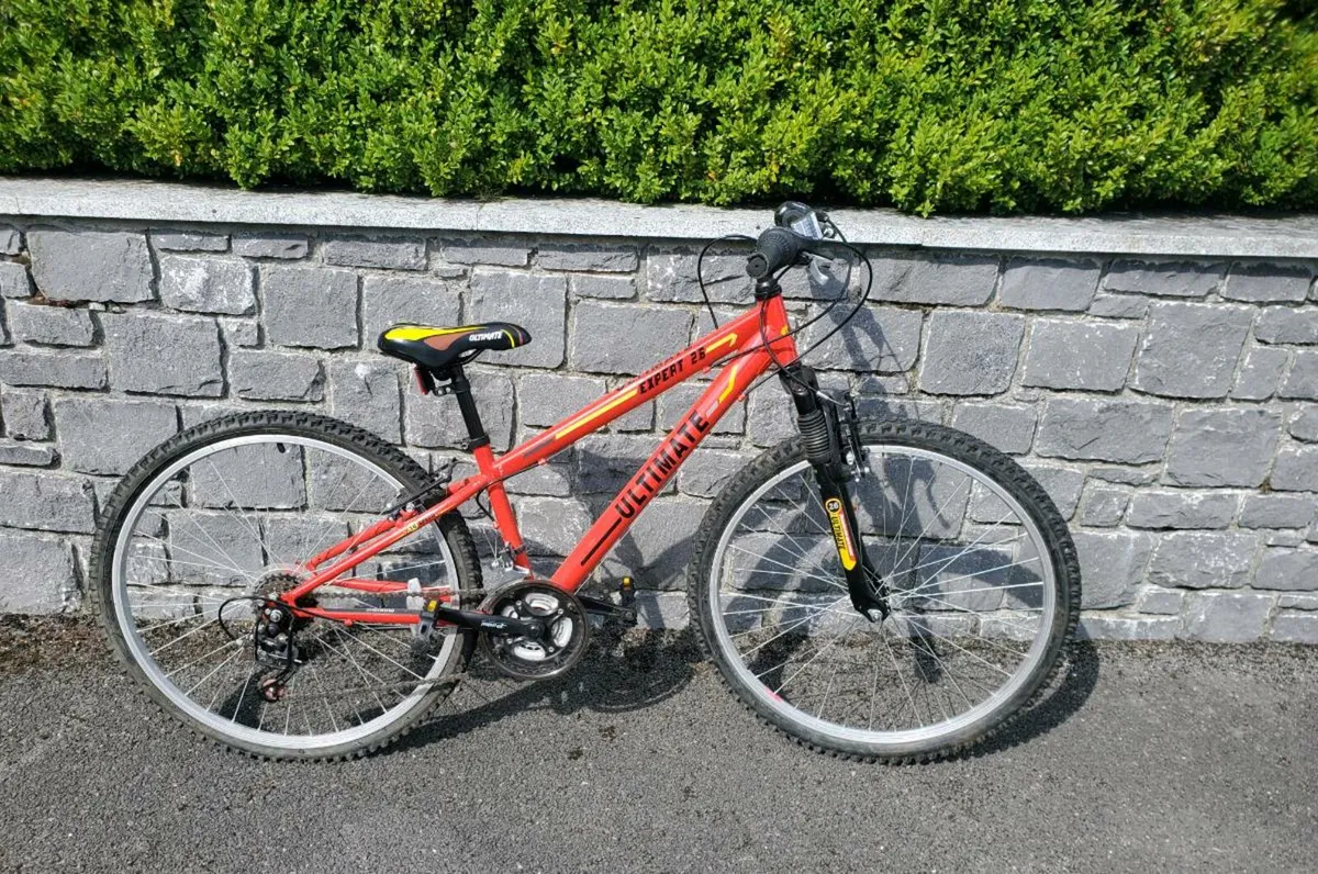 Child/teen bicycle - Image 1