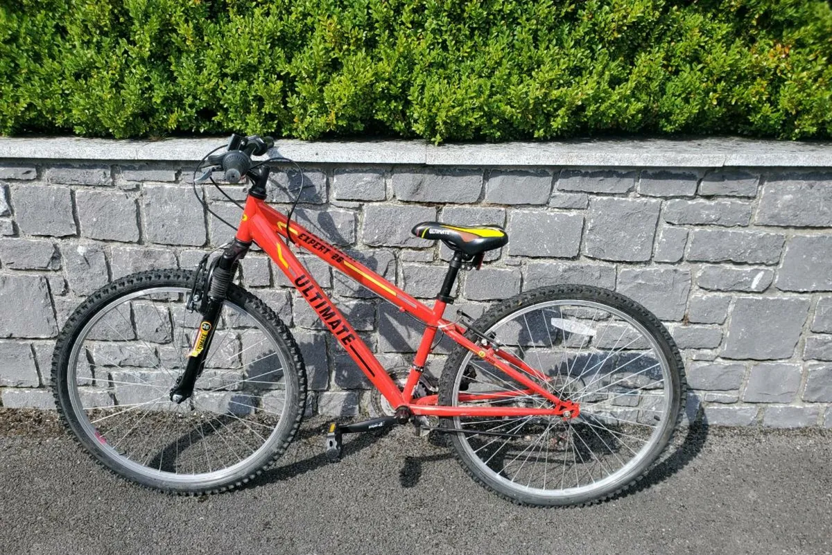 Child/teen bicycle - Image 2