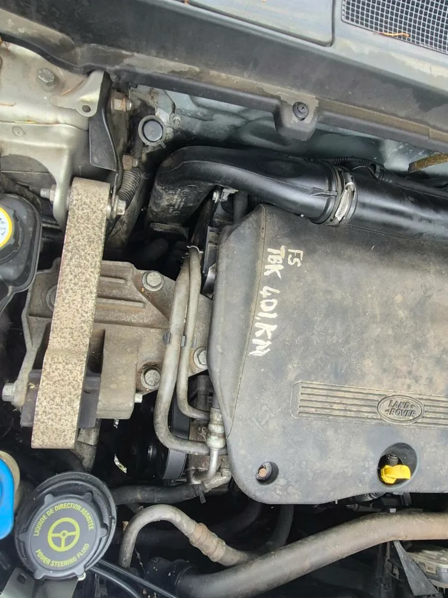 Freelander - Image 3