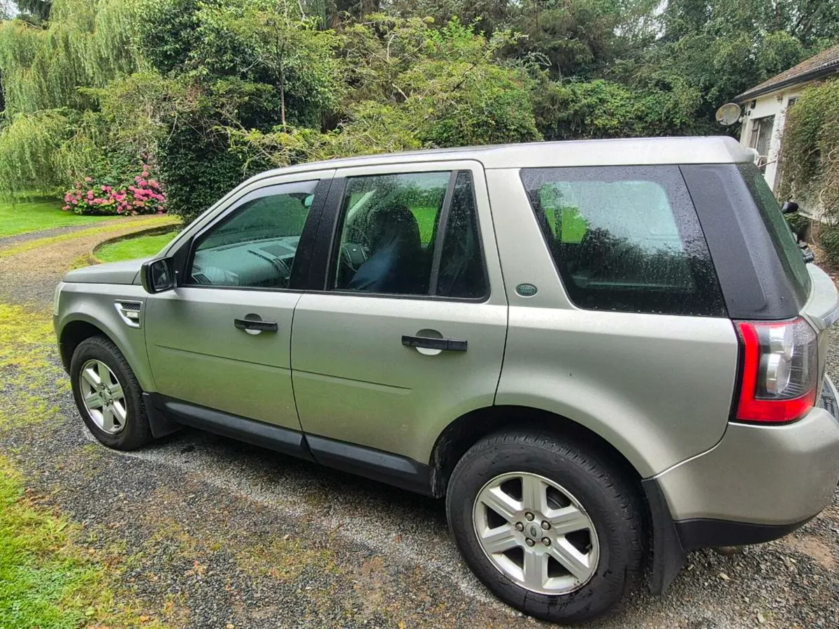 Freelander - Image 4