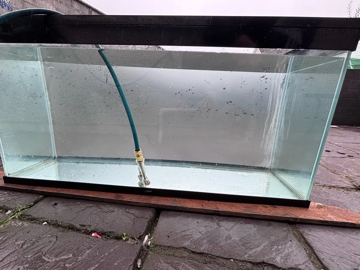Fish tank - Image 2