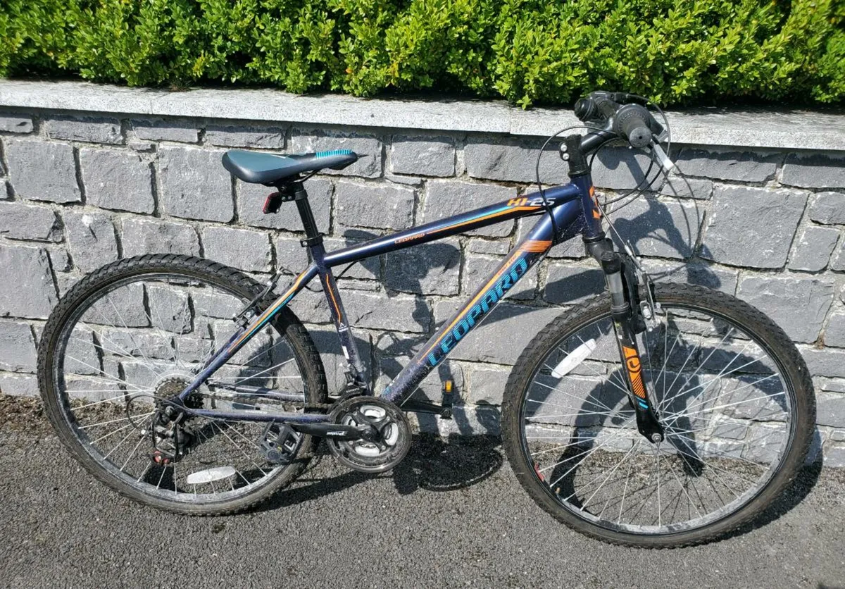 Child/teen bicycle - Image 2