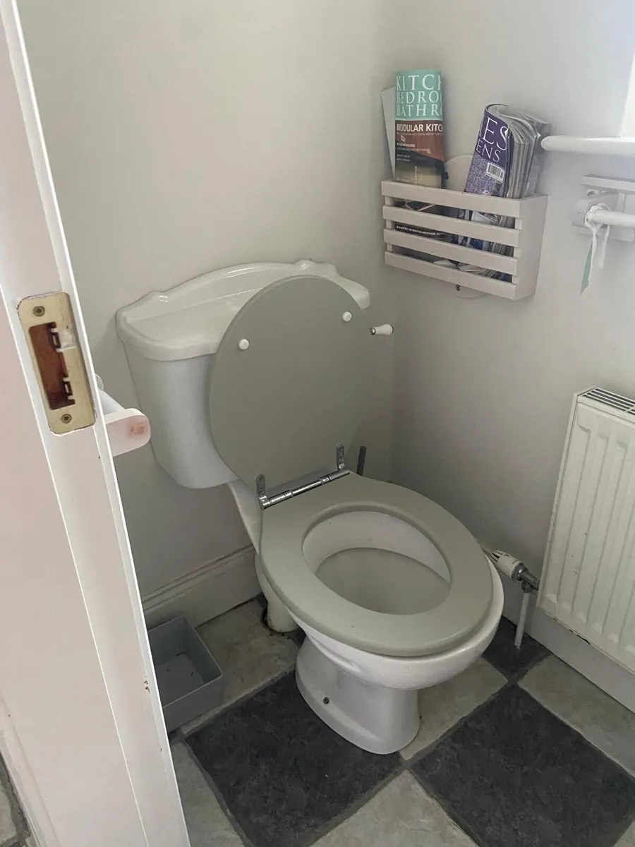 Major Home Renovation [7] - Everything Must Go - Image 2