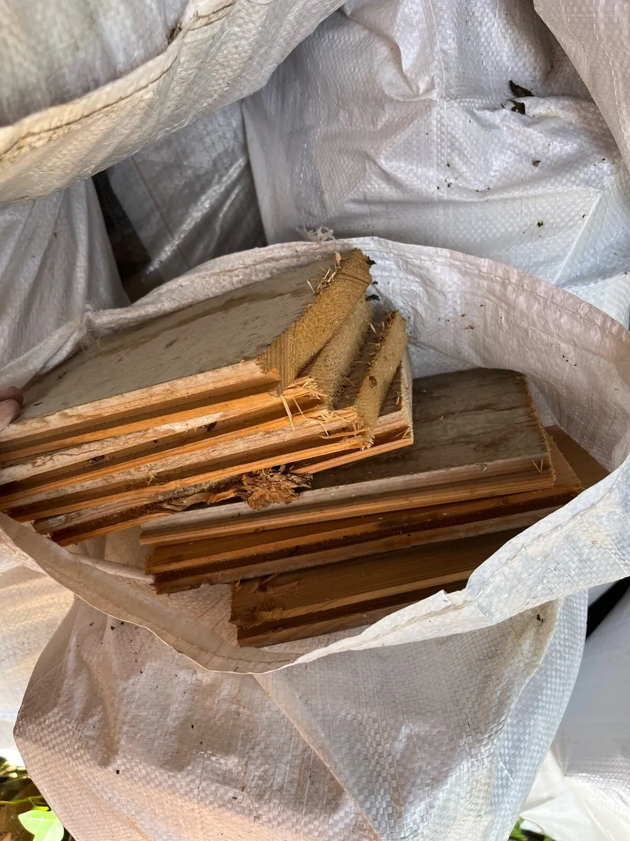 Firewood - Image 2