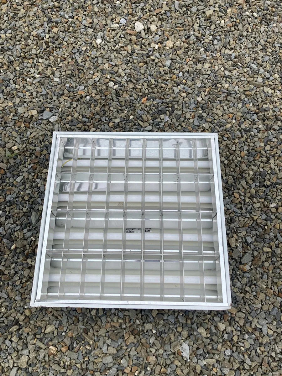 Lights - Image 1